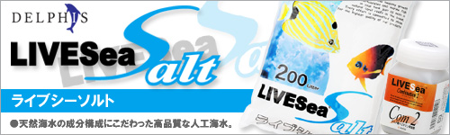 ライブーソルト
